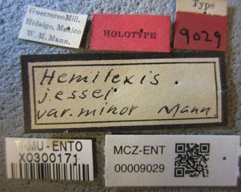Media type: image;   Entomology 9029 Aspect: labels